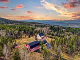 31551 Black Widow Dr - Photo 48