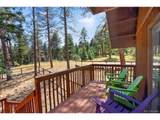 45 Co Rd 401 St - Photo 36