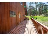 45 Co Rd 401 St - Photo 40