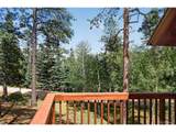 45 Co Rd 401 St - Photo 41
