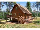 45 Co Rd 401 St - Photo 50