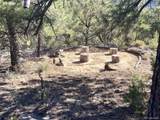 136 Burnt Timber Cir - Photo 22