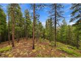 889 Lodgepole Dr - Photo 22
