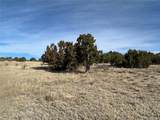 122 Ghost River Ranch - Photo 12