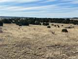 122 Ghost River Ranch - Photo 13
