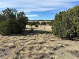 122 Ghost River Ranch - Photo 15