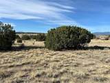 122 Ghost River Ranch - Photo 16