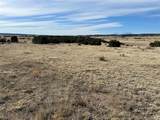 122 Ghost River Ranch - Photo 6