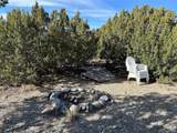 122 Ghost River Ranch - Photo 7