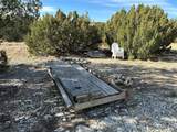 122 Ghost River Ranch - Photo 8