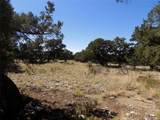  Mill Run Rd - Photo 3
