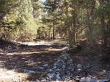 206 Zapata Pl - Photo 14