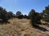  Little Bear Rd - Photo 11