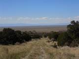  Little Bear Rd - Photo 16