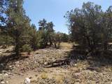  Little Bear Rd - Photo 4