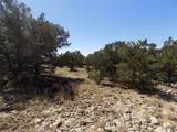  Little Bear Rd - Photo 5