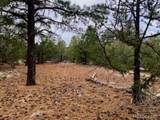  Costilla Pl - Photo 11