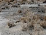  Vacant Land - Photo 5