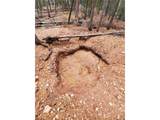 0 Rampart Range - Photo 6