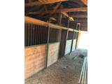 6646 State Highway 86 - Photo 14