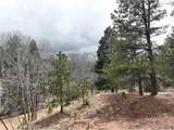 255 Pinon Ln - Photo 4
