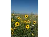 12441 Tower Rd - Photo 31