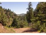  Balanced Rock Rd - Photo 1