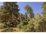  Balanced Rock Rd - Photo 11