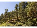 Balanced Rock Rd - Photo 12
