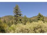  Balanced Rock Rd - Photo 14