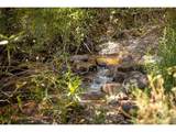  Balanced Rock Rd - Photo 2