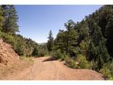  Balanced Rock Rd - Photo 4
