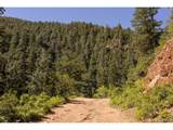  Balanced Rock Rd - Photo 5
