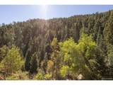  Balanced Rock Rd - Photo 6