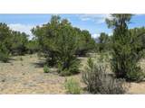 29266 Timber Ridge - Photo 33