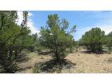 29266 Timber Ridge - Photo 37
