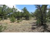 29266 Timber Ridge - Photo 40