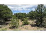 29266 Timber Ridge - Photo 41