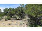 29266 Timber Ridge - Photo 43
