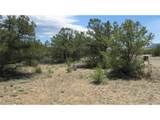 29266 Timber Ridge - Photo 44