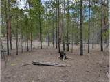 437 Juniper Dr - Photo 3