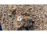16590 Watkins Rd - Photo 25