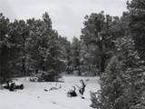 2119 Oriole Overlook - Photo 1