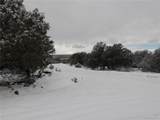 2119 Oriole Overlook - Photo 3