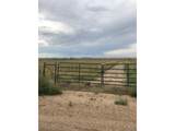  County Road 55 - Photo 9