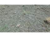  Delaware Rd - Photo 11