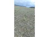  Delaware Rd - Photo 13