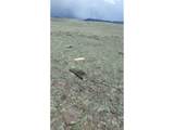  Delaware Rd - Photo 14