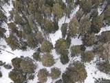 5525 Twin Spruce Dr - Photo 18