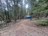 5525 Twin Spruce Dr - Photo 4